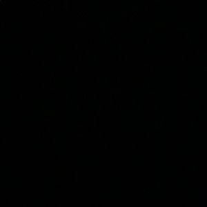 Meet your Posher, Isabella